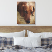 Dachshund Portrait Canvas Wrap Afdruk (Insitu (Slaapkamer))