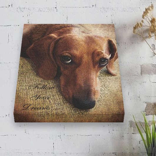 Dachshund Portrait Canvas Wrap Afdruk