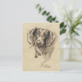 Dachshund-portret Briefkaart (Staand voorkant)