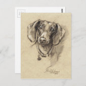 Dachshund-portret Briefkaart (Voorkant / Achterkant)