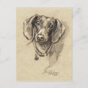 Dachshund-portret Briefkaart