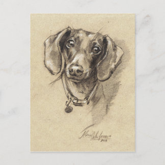 Dachshund-portret Briefkaart