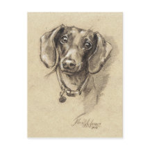 Dachshund-portret