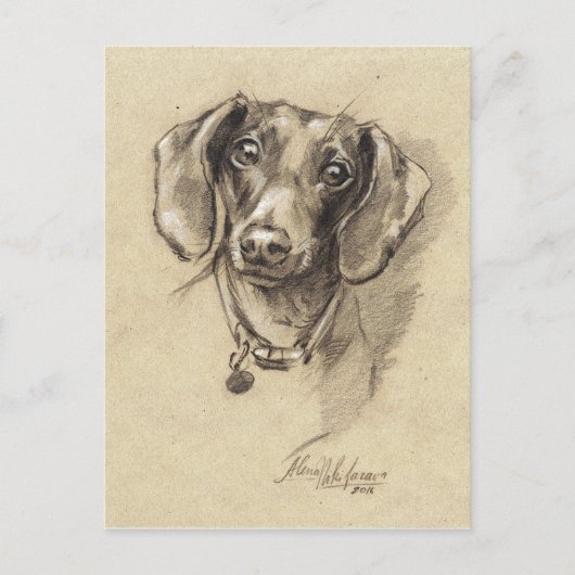 Dachshund-portret Briefkaart (Voorkant)