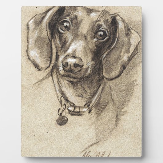 Dachshund-portret Fotoplaat (Voorkant)