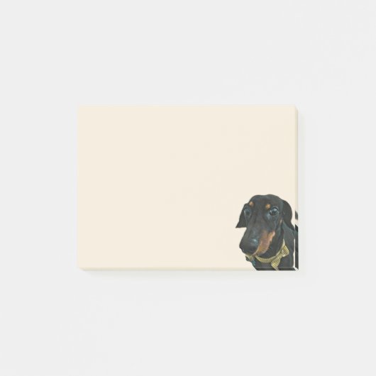 Dachshund post-it Notes (Voorkant)
