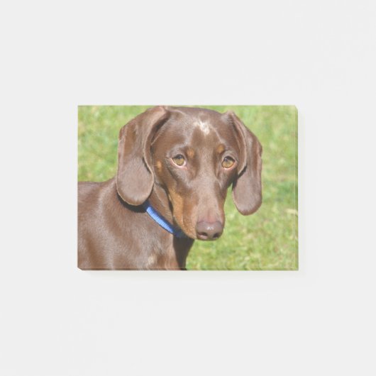Dachshund Post-it® Notes (Voorkant)