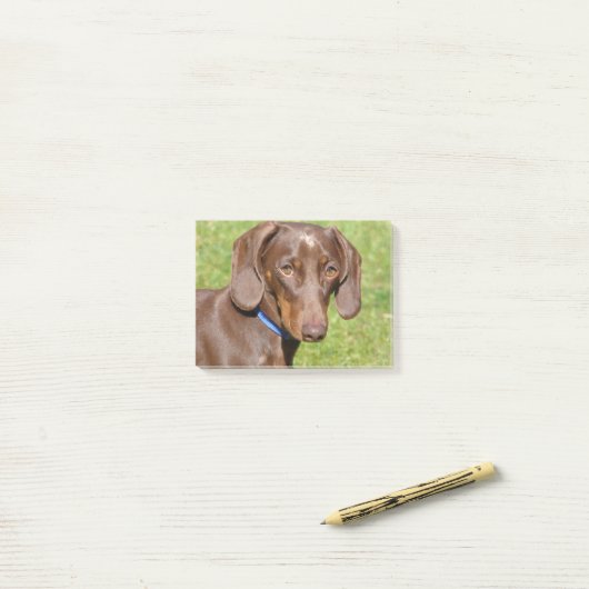 Dachshund Post-it® Notes (Op bureau)