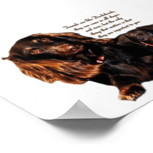 Dachshund Poster (Hoek)