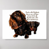 Dachshund Poster (Voorkant)