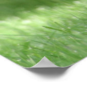 Dachshund Poster (Hoek)