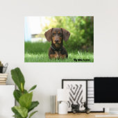 Dachshund Poster (Thuiskantoor)
