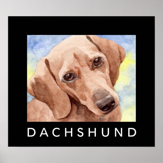 Dachshund Poster (Voorkant)