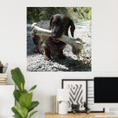 Dachshund Poster (Thuiskantoor)