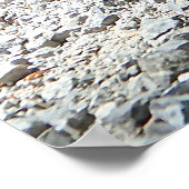 Dachshund Poster (Hoek)