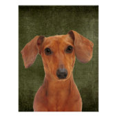 Dachshund-Poster Perfect Poster (Voorkant)