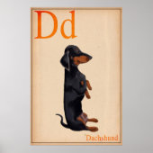 Dachshund-Poster Poster (Voorkant)