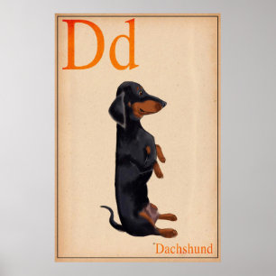 Dachshund-Poster Poster