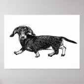 Dachshund-Poster/wandkunst Poster (Voorkant)