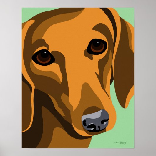 Dachshund Posters (Voorkant)