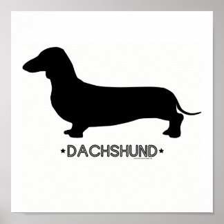 Dachshund Print