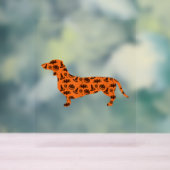 Dachshund Pumpkin Witch Bat Funny Spooky Halloween Acryl Bord (Neutraal)