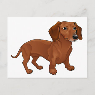 Dachshund Pup - Hallo, Ik denk aan je, Liefs Briefkaart