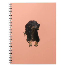 Dachshund Pup Notitieboek