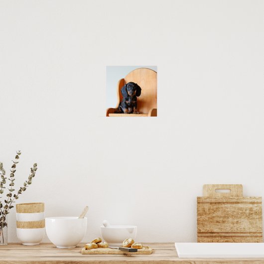 Dachshund pup poster (Keuken)