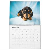Dachshund Puppies 2013 Kalender (Mar 2026)