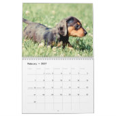 Dachshund Puppies 2013 Kalender (Feb 2027)