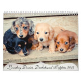 Dachshund Puppies 2014 Kalender (Hoes)