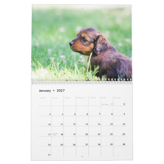 Dachshund Puppies 2014 Kalender (Jan 2027)