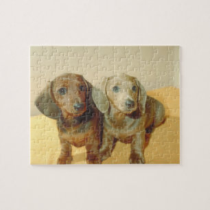 Dachshund Puppies Dog Puzzle Legpuzzel
