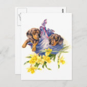 Dachshund-Puppies in Blanket met Daffodils Briefkaart (Voorkant / Achterkant)