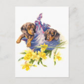 Dachshund-Puppies in Blanket met Daffodils Briefkaart (Voorkant)