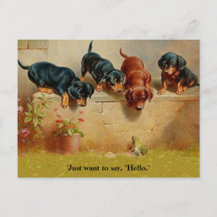 Dachshund-Puppies, kikker, Hallo alt  kunstblauw Briefkaart