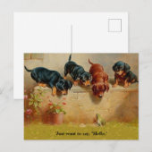 Dachshund-Puppies, kikker, Hallo alt  kunstblauw Briefkaart (Voorkant / Achterkant)