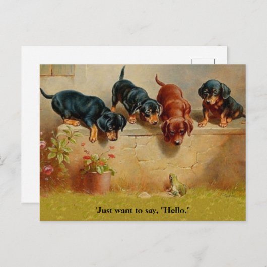 Dachshund-Puppies, kikker, Hallo alt kunstblauw Briefkaart (Voorkant / Achterkant)