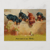 Dachshund-Puppies, kikker, Hallo alt kunstblauw Briefkaart (Voorkant)