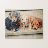 Dachshund-Puppies Legpuzzel (Horizontaal)