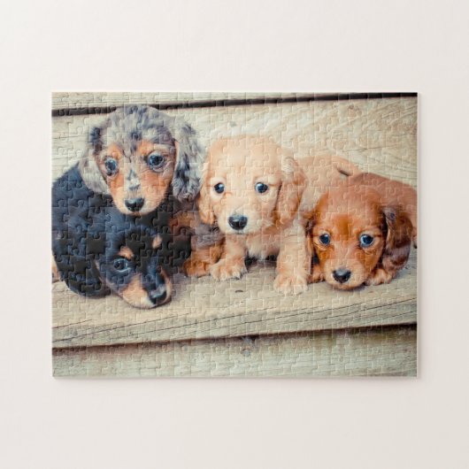 Dachshund-Puppies Legpuzzel (Horizontaal)