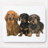 Dachshund Puppies Mousepad Muismat (Voorkant)