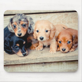 Dachshund-Puppies Muismat