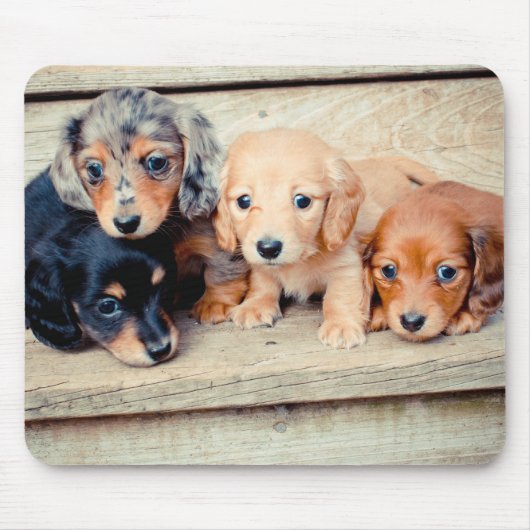 Dachshund-Puppies Muismat (Voorkant)