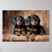 Dachshund puppies poster (Voorkant)