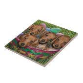 Dachshund-Puppies Tegeltje (Zijkant)