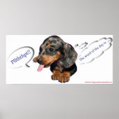 Dachshund Puppy Attitude Poster (Voorkant)