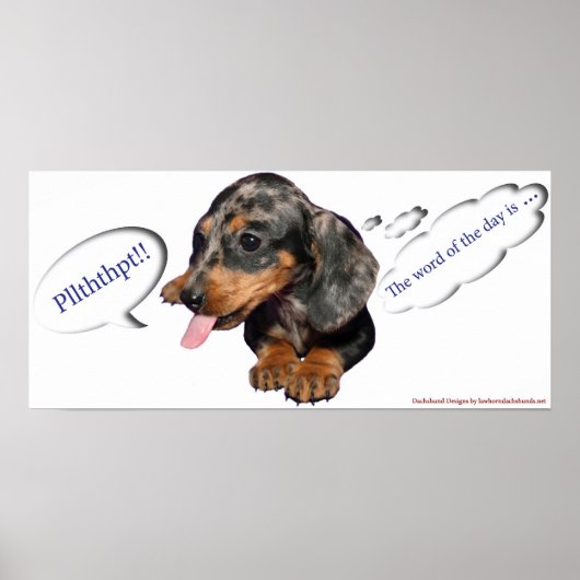 Dachshund Puppy Attitude Poster (Voorkant)