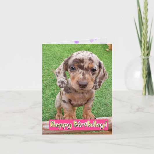Dachshund Puppy Birthday Kaart (Voorkant)